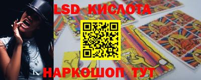 индика Славгород