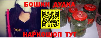 индика Славгород