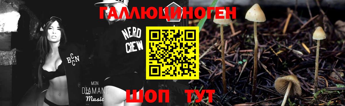 Псилоцибиновые грибы MAGIC MUSHROOMS  Псилоцибиновые грибы Magic Shrooms  Новодвинск  Вход с VPN 